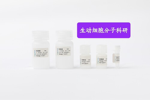 Starvio组织细胞RNA提取试剂盒 用于提取细胞和组织样本基因组RNA