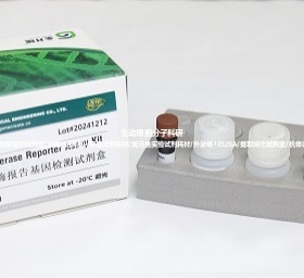 金开瑞双荧光素酶检测试剂盒miRNA靶基因/转录因子调控启动子分析