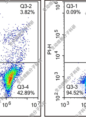 Annexin V-FineTest 647/PI凋亡检测试剂盒,检测悬浮贴壁细胞凋亡