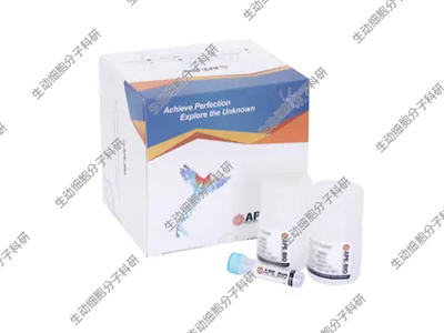 APExBIO T4 DNA连接酶 粘性末端/平末端DNA片段连接 单链缺刻修复