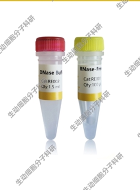DNase I (RNase-free) (1000 U) 可消化单链或双链DNA，无RNase
