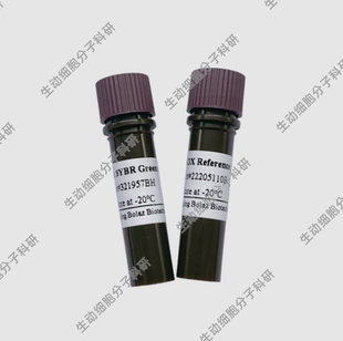 BOLAZ 2×SYBR Green qPCR预混液(With100xROX)用于荧光定量qPCR