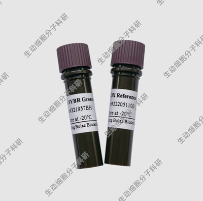 BOLAZ 2×SYBR Green qPCR预混液(With100xROX)用于荧光定量qPCR