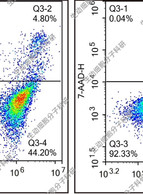 Annexin V-FineTest®647/7-AAD凋亡检测试剂盒,适用悬浮贴壁细胞