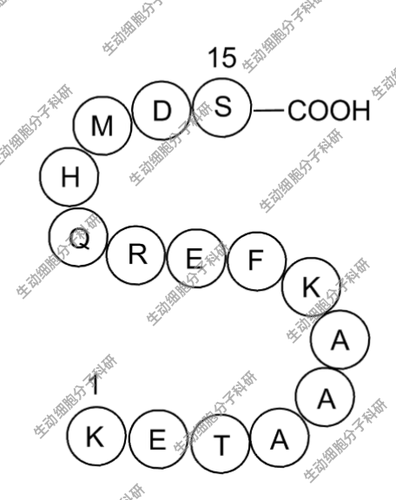 APExBIO  S Tag Peptide(S标签肽)S标签肽 也即KETAAAKFERQHMDS肽