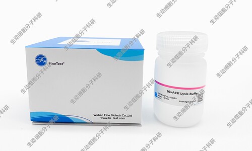 10×红细胞裂解液(不含固定剂) 用于血液/组织裂解去除无核红细胞