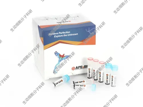 APExBIO DNase I(RNase-free)可以酶切单链或双链DNA的核酸内切酶