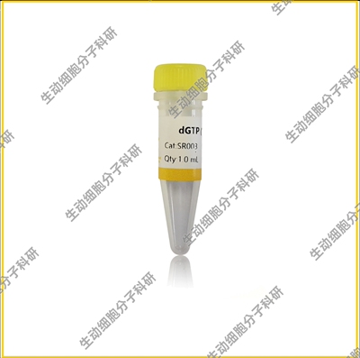 dGTP溶液(100mM)脱氧鸟苷三磷酸溶液 即用型用于PCR/qPCR分子实验