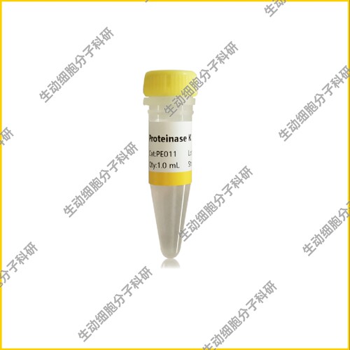 Proteinase K(20 mg/mL)高效去除基因组提取、RNA提取过程蛋白质