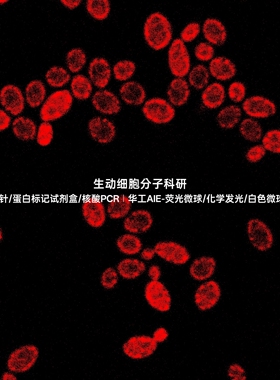 AIE细菌红色探针,选择性定位病原体部位可对活细菌长时间追踪成像