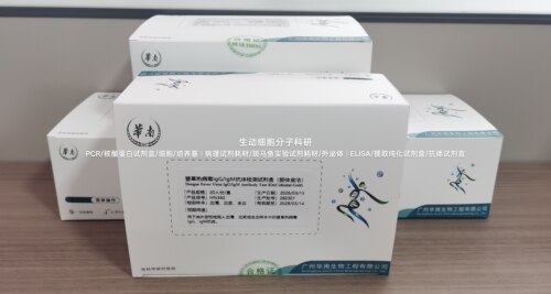 仅供科研,登革热病毒NS1抗原/IgG/IgM抗体检测试剂盒,胶体金法