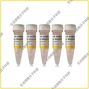 GS AntiQ qPCR SYBR Green快速混合液(通用型)染料法qPCR高灵敏度