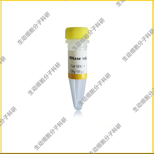 重组鼠源RNase抑制剂，RNase Inhibitor，高抗氧化活性和热稳定性
