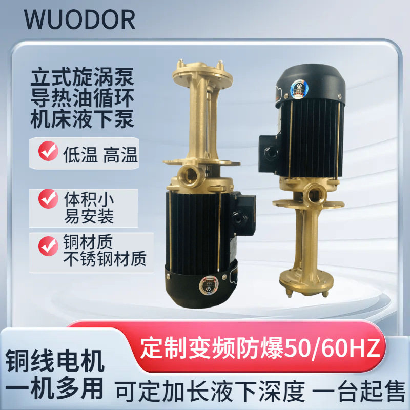 供应WL-10-150立式机床循环泵750W导热油泵380V铜叶轮不锈钢泵