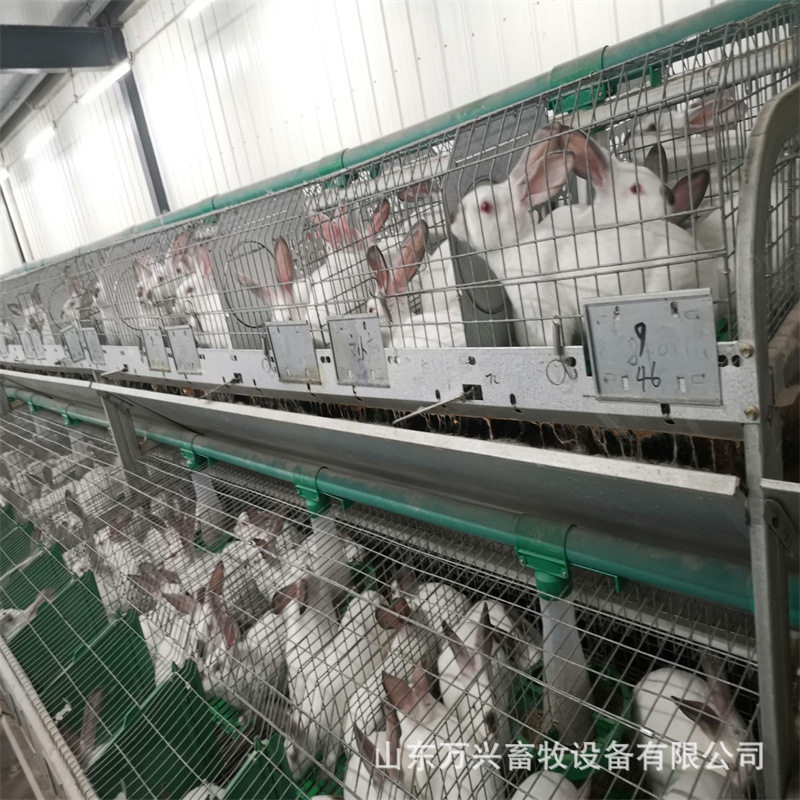 双层欧式兔笼双层24笼位兔笼种兔育成繁殖一体笼养兔笼具型号
