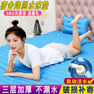 降温水床垫双人家用凉席学生冰床垫 水床冰垫水垫水席宿舍单人夏季