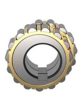 偏心圆柱滚子轴承RN205/M RN206 RN307 RN309 RN312 RN219 RN222