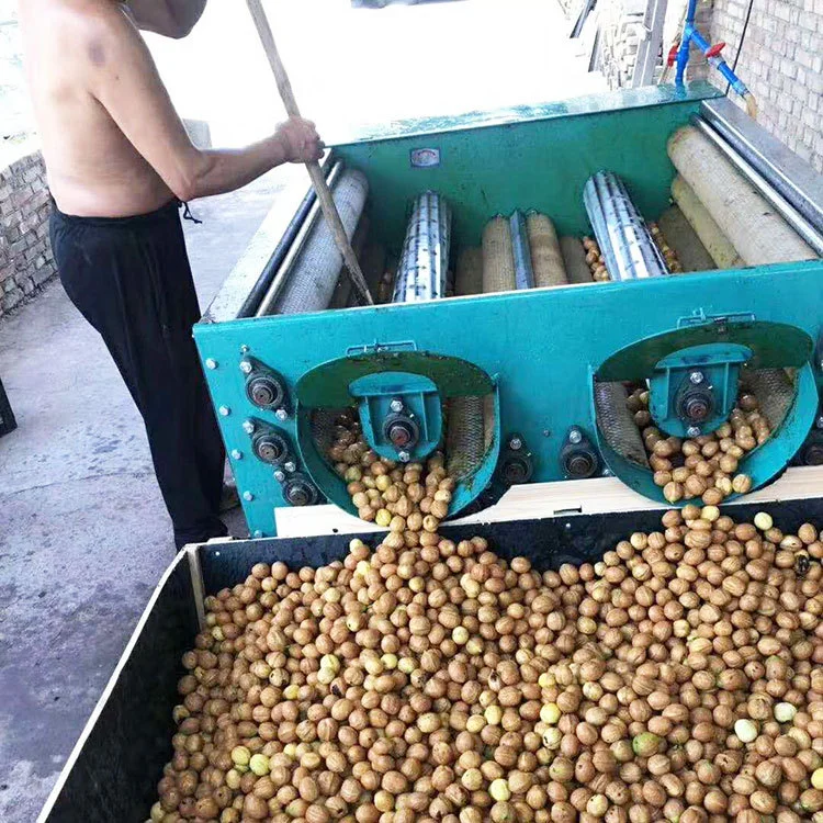 新疆阿克苏薄皮核桃剥壳机锯齿辊清洗一体机规格型号齐全去青皮机