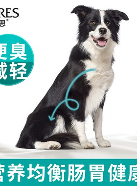 凯锐思 狗粮边牧金毛拉布拉多哈士奇萨摩耶大型犬专犬专用粮40斤