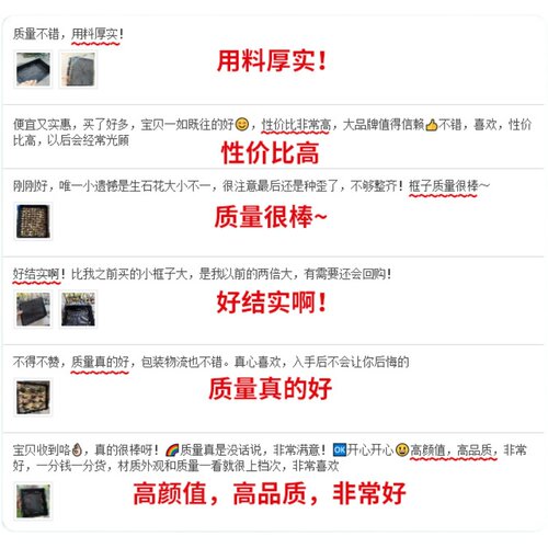 多肉专用塑料育苗盘穴盘花盆播种盘育苗筐生石叶插托盘大号小号