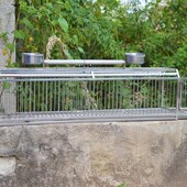 金刚外出笼便携笼大型鹦鹉出行笼不锈钢外出笼手提笼不锈钢鸟笼