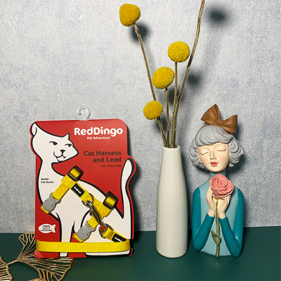 RedDingo瑞鼎狗遛猫绳宠物猫胸背带式牵引绳背心式溜猫神器防挣脱