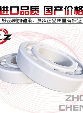 氧化锆全陶瓷轴承6005CE 6006CE 6007CE 6008CE 6009CE