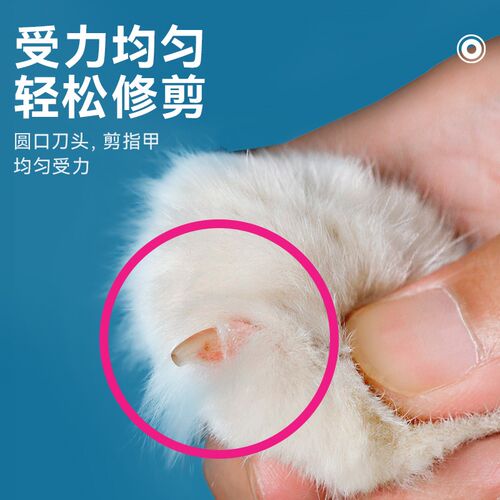 小盲剪猫指甲剪专用宠物猫咪剪指甲神器新手放劈圆孔指甲钳指甲刀