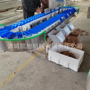 雞腿雞排全自動重量分揀機稱重機白條雞稱重分級分選機