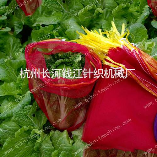塑料丝F网袋机QJ-DQJF-WD-2W-262豆水果土洋葱纺织针织机器设备厂