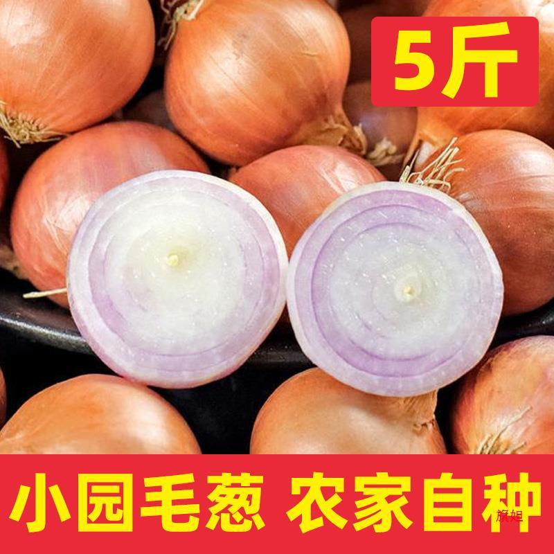 东北产毛葱农家小园自种小毛葱蘸酱毛葱大毛葱头新鲜5斤包邮