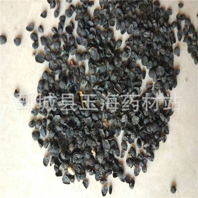 韭菜子 韭菜籽（1000克）玉海各种