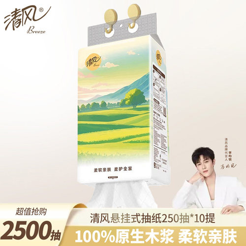 清风抽纸悬挂式4层250抽大提餐巾