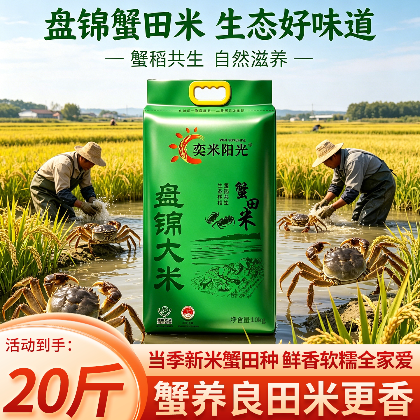 东北大米20斤编织袋产地直发实惠装盘锦大米20斤大包装大米优质米图片