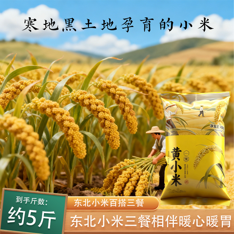 2025年新米上市东北小米1斤装现磨现卖煮粥米杂粮农家自产500g