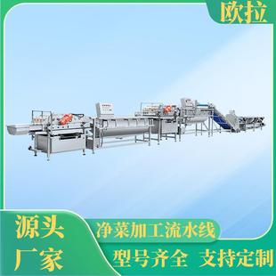 农产品山药清洗去皮烘干流水线 蓝莓清洗设备 气泡喷淋清洗机