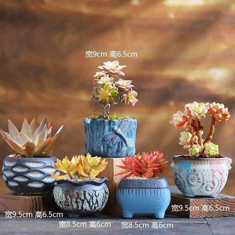 大号粗陶老桩陶瓷多肉花盆zakka纯手工微景观居家摆件工艺品