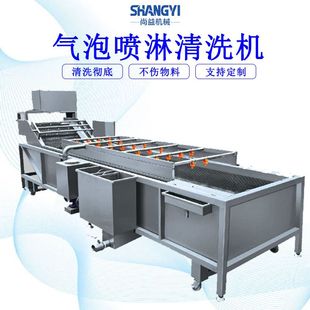 海带菜脱盐清洗机裙带菜气浪清洗设备海藻类蔬菜气泡清洗流水线