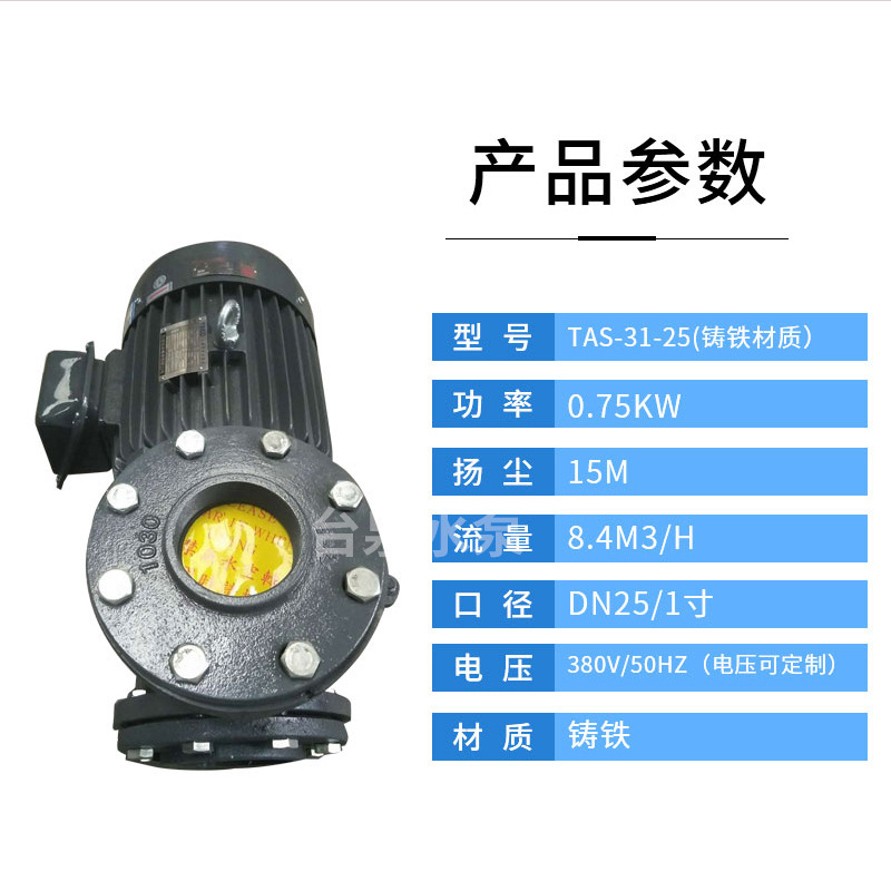 台湾款卧式铸铁管道泵 DN25 川源同款  配三相东元电机0.75KW