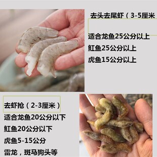 新鲜去粘液冻泥鳅段鱼饲料冷冻河虾龙鱼鱼食冻虾林蛙小鱼