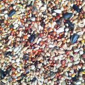 斑鸠粮鸟食鸟粮斑鸠专用混合粮魔术鸽鸽粮山鸡粮竹鸡饲料五斤 包邮