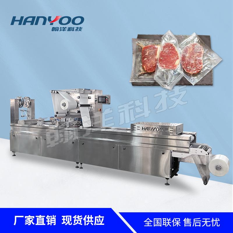猪肉脯牛排拉伸膜真空包装机牛肉猪蹄连续式真空封口机可定制