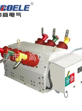 供应高压真空断路器ZW6-12系列户内真空断路器户内高压真空断路器