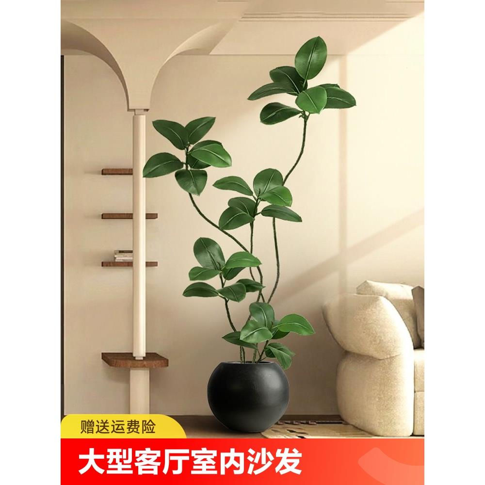 大型客厅落地摆件室内沙发电视柜旁边假植物黑金刚橡皮树仿真绿植