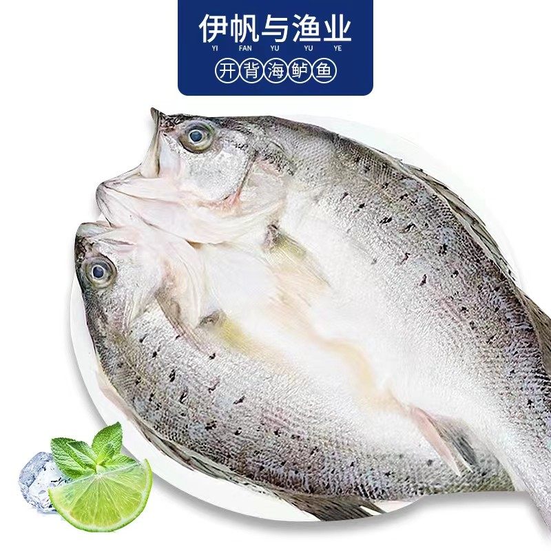 伊帆与渔业  5条 广东珠海 新鲜鲈鱼每条/350g-390g团购套餐,水产肉类/新鲜蔬果/熟食,淡水鱼类,淘宝优惠券,粉丝福利购,淘宝优惠卷