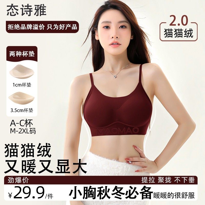 小胸显大 秋冬猫猫绒新款无痕美背内衣女聚拢提拉细肩带文胸罩