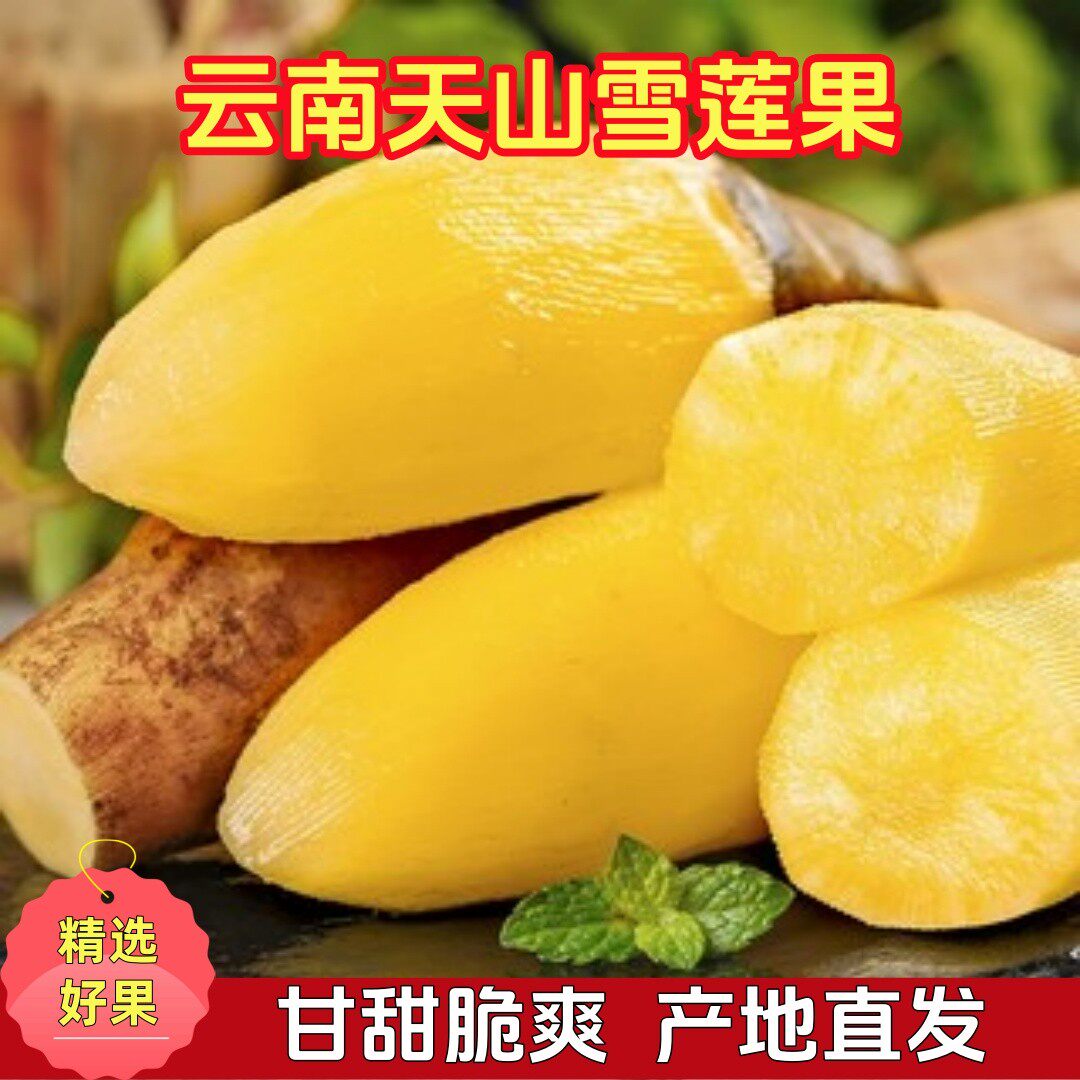 【雪莲果】云南雪莲果皮薄肉脆清甜多汁净重5斤4-10个