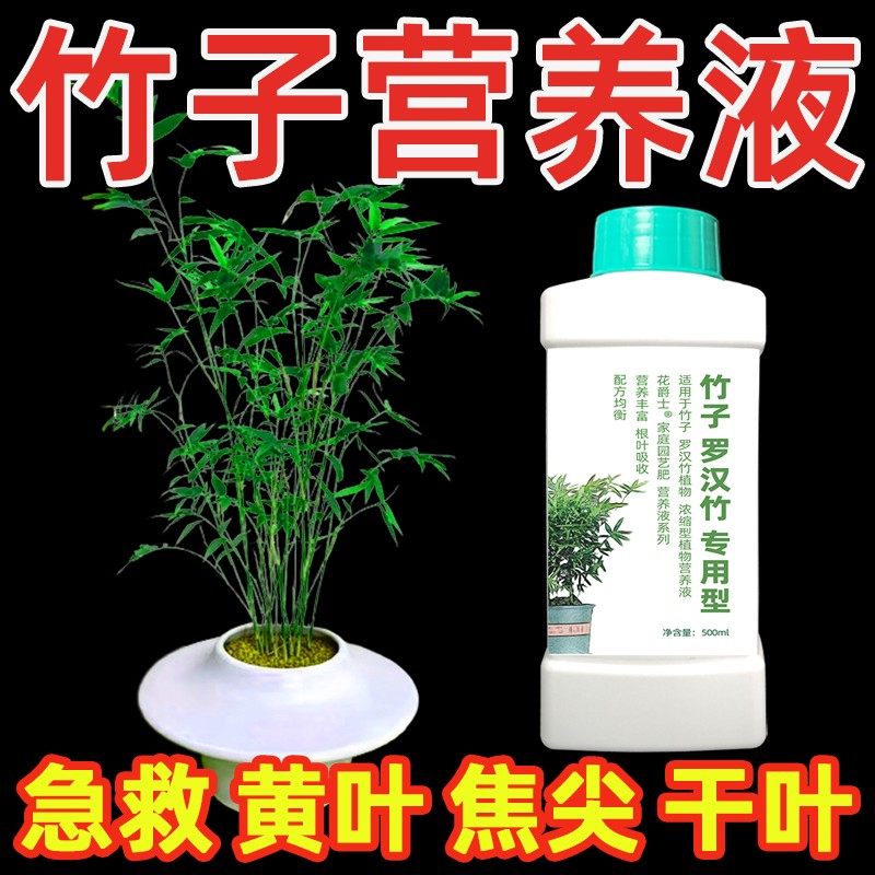 竹子植物营养液内门竹红观音竹佛肚竹罗汉竹水培米竹簕竹黄叶肥料,农用物资,叶面肥,淘宝优惠券,粉丝福利购,淘宝优惠卷