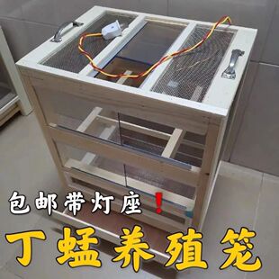 昆虫丁蜢养殖笼喂养蚂蚱笼蝈蝈蚱蜢箱笼虰蜢蟋蟀笼鸟类防撞笼