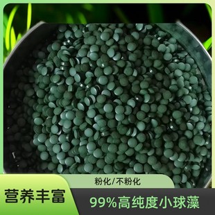 B哥小球藻鱼食异形鱼饲料底栖鱼粮胡子大帆虾粮熊猫迷宫鼠鱼双11